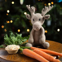 Donna The Reindeer | Toft