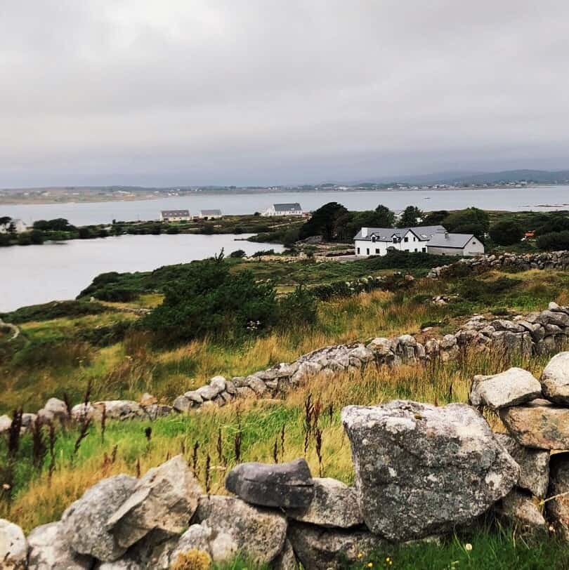 Irish Heather | Studio Donegal - This is Knit