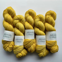 Polwarth DK | Ballyhoura Fibres - This is Knit