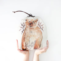 Bruno the Brown Bear | Project Bag | The Blue Rabbit House - This is Knit