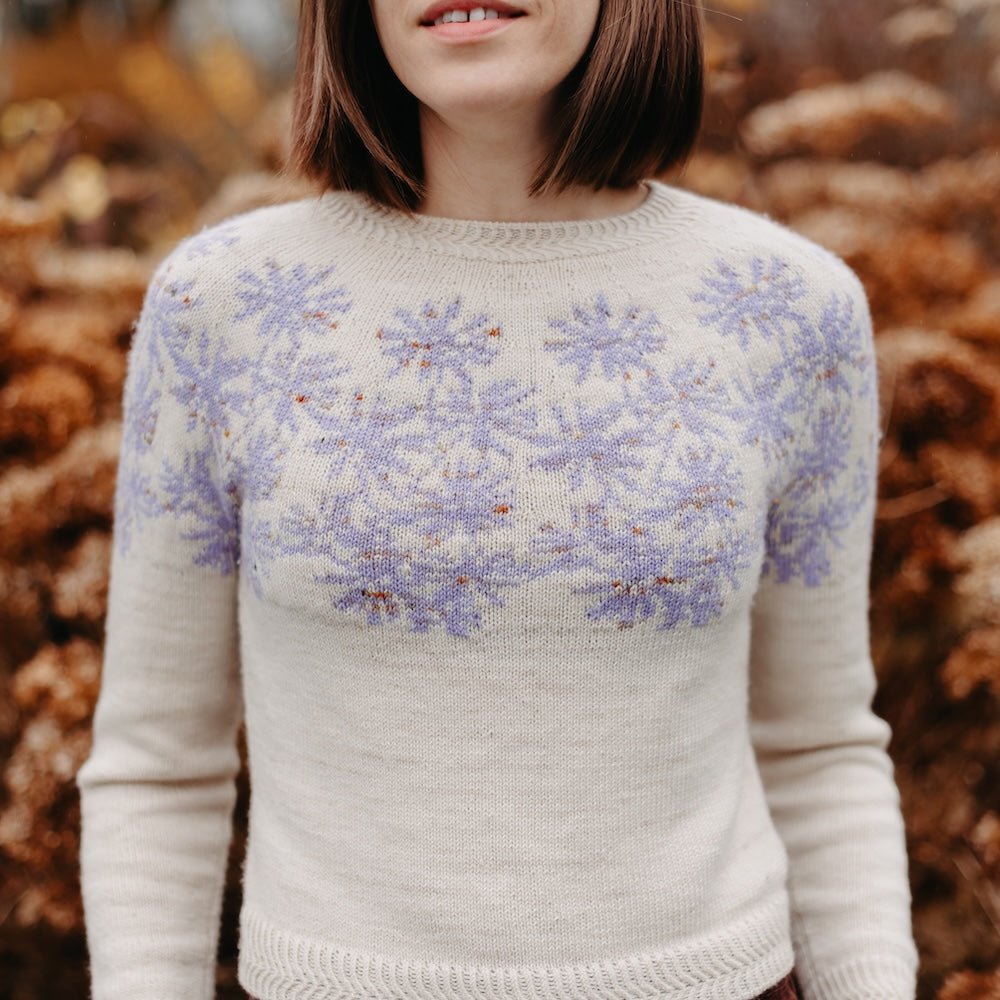 Sea Aster Sweater Kit | Townhouse Yarns - This is Knit