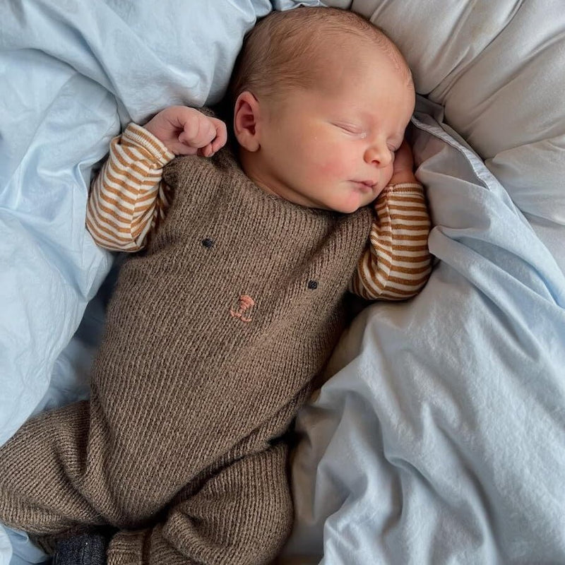 Teddy Pants Pattern Booklet | PetiteKnit - This is Knit