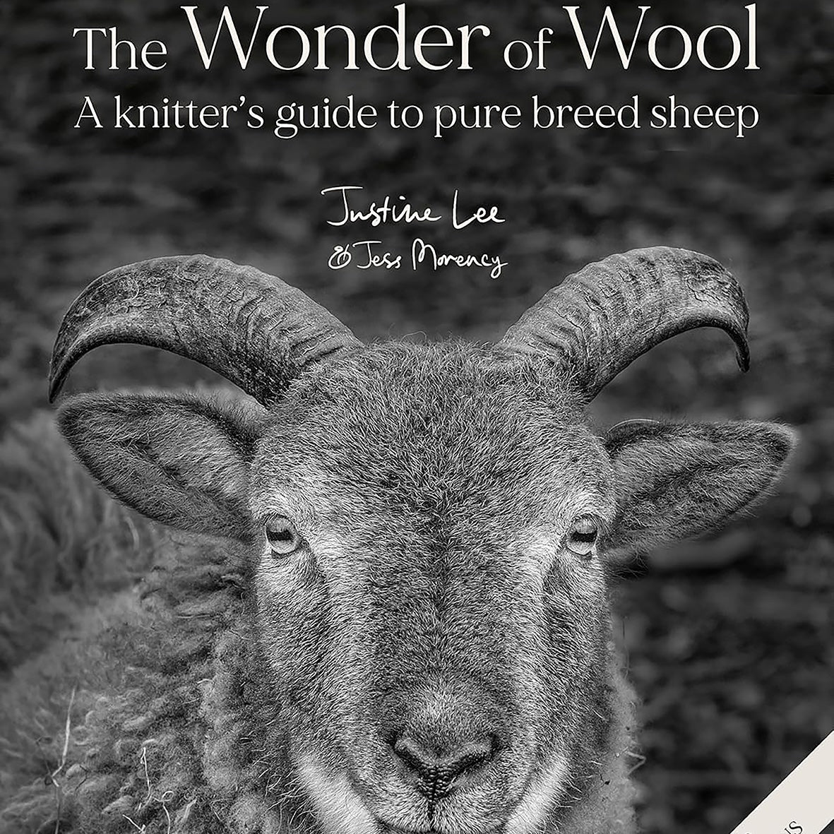The Wonder of Wool | Justine Lee - This is Knit
